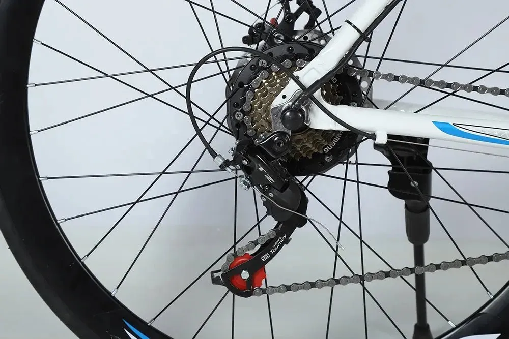 21 Speed 26 inch adult outdoor mountain bicycle ebike electric moped cycle Motorcycle bike