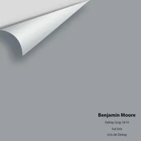 Benjamin Moore - Delray Gray 1614 Colour Sample
