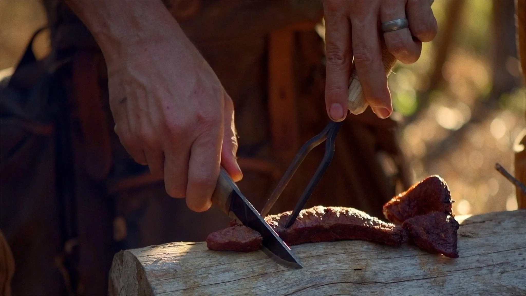 Into the Ozarks DVD   Free Streaming Limited Offer