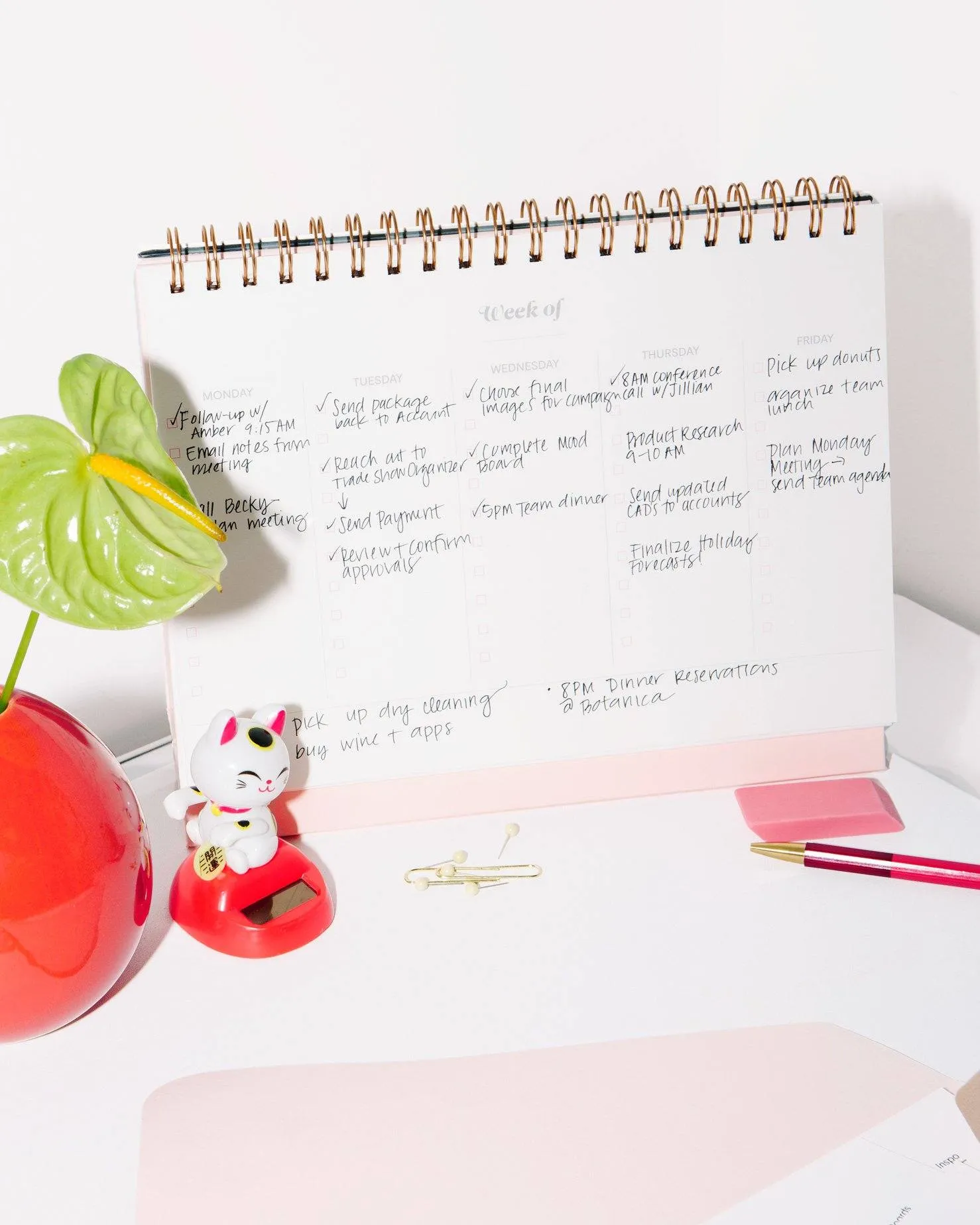 Weekly Desk Planner - Gingham